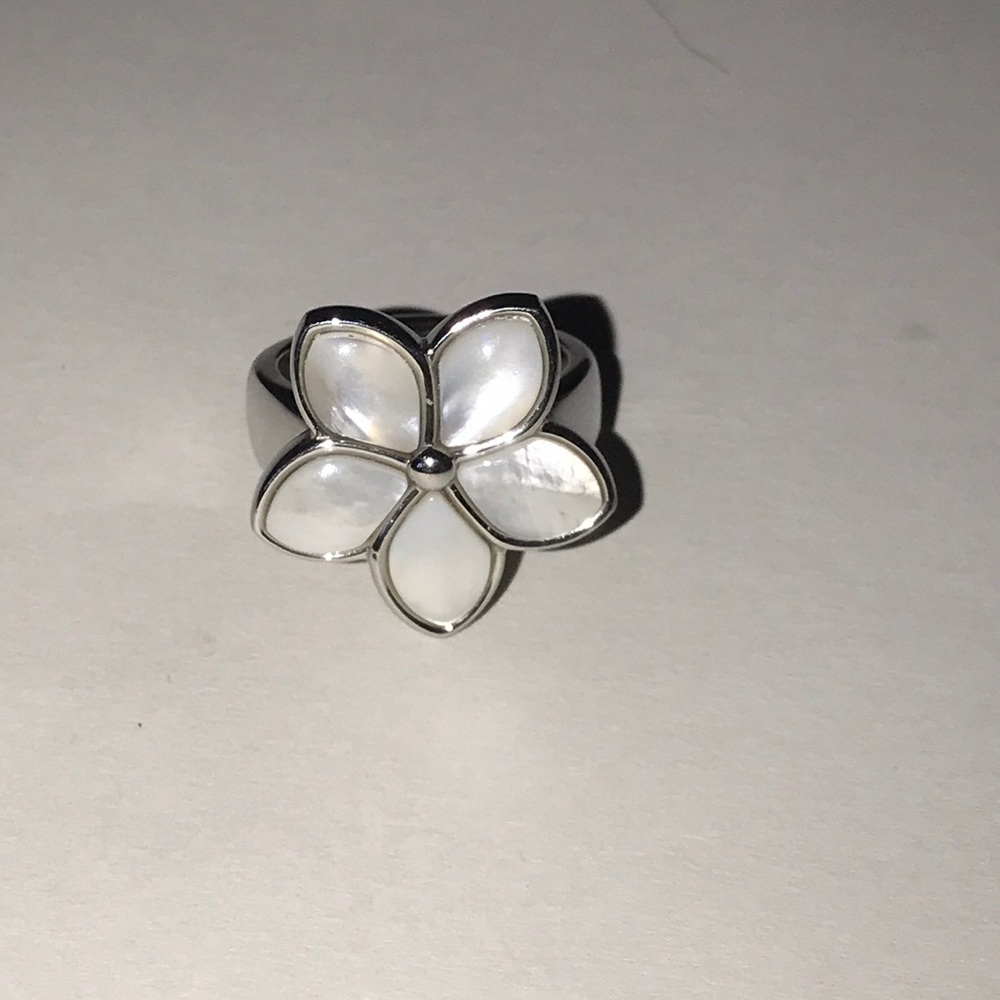 Stainless steel ring